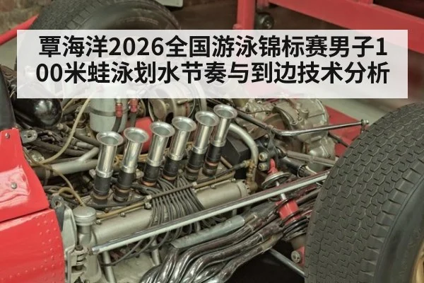 覃海洋2026全国游泳锦标赛男子100米蛙泳划水节奏与到边技术分析